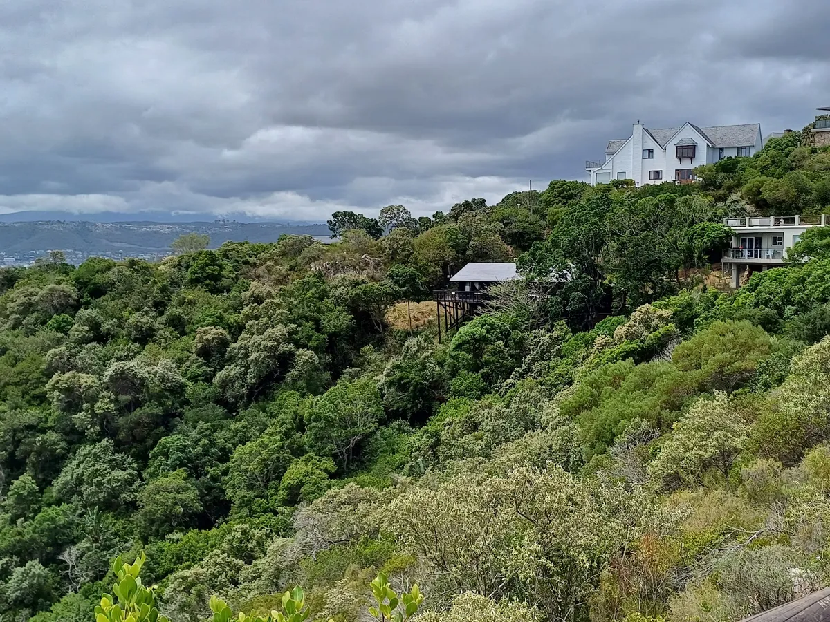 Featherbed Nature Reserve on the Western Head, Knysna — forested headland above the lagoon
