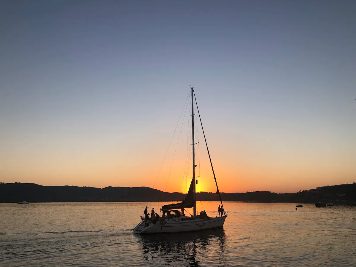 Sailing yachts and a catamaran moored on the Knysna Lagoon, forested headland on the left, town in the distance