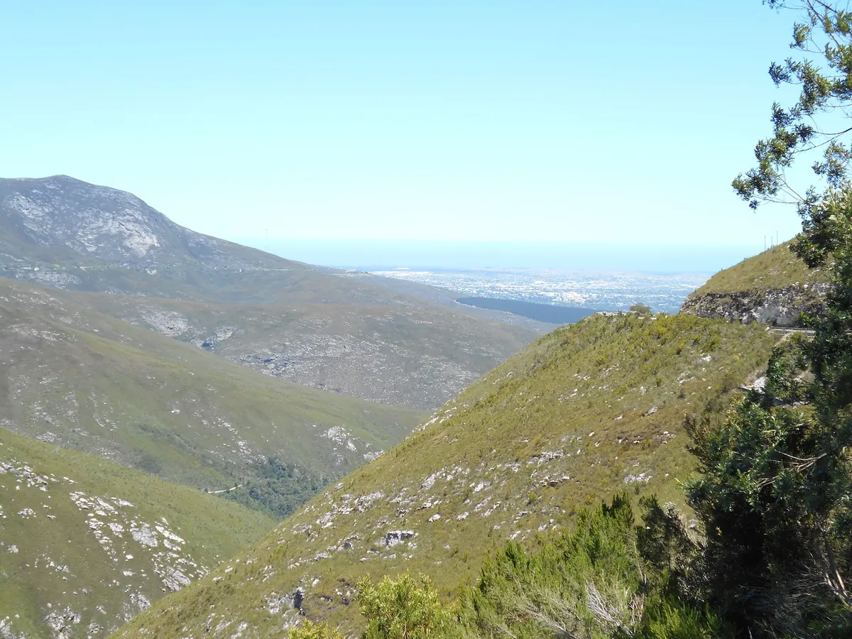 Fynbos-covered Outeniqua ridges falling away from the pass with George and the Indian Ocean visible far below