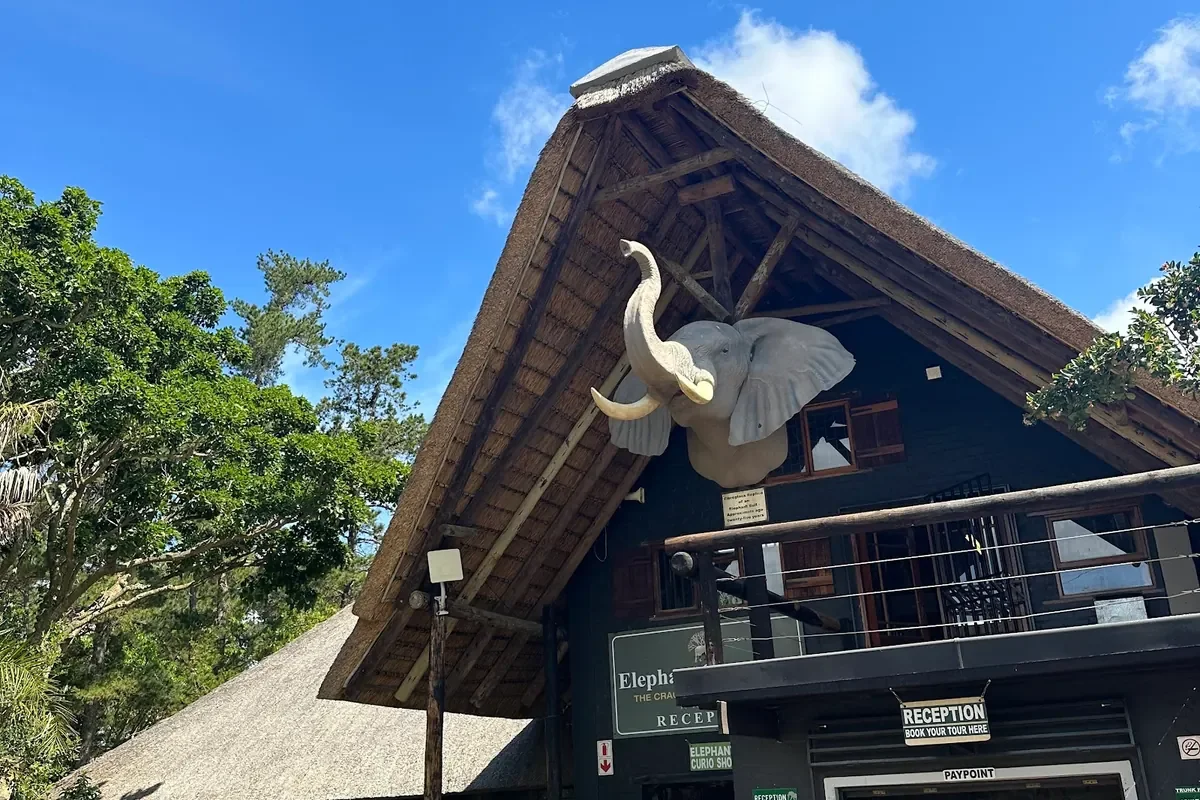 Thatched timber reception lodge of the Elephant Sanctuary on Animal Alley, The Crags, with an elephant sculpture on the gable