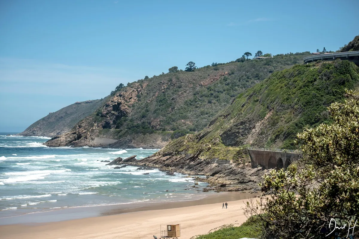 A cove at Wilderness Beach on the Garden Route with forested cliffs meeting the sand and surf rolling in