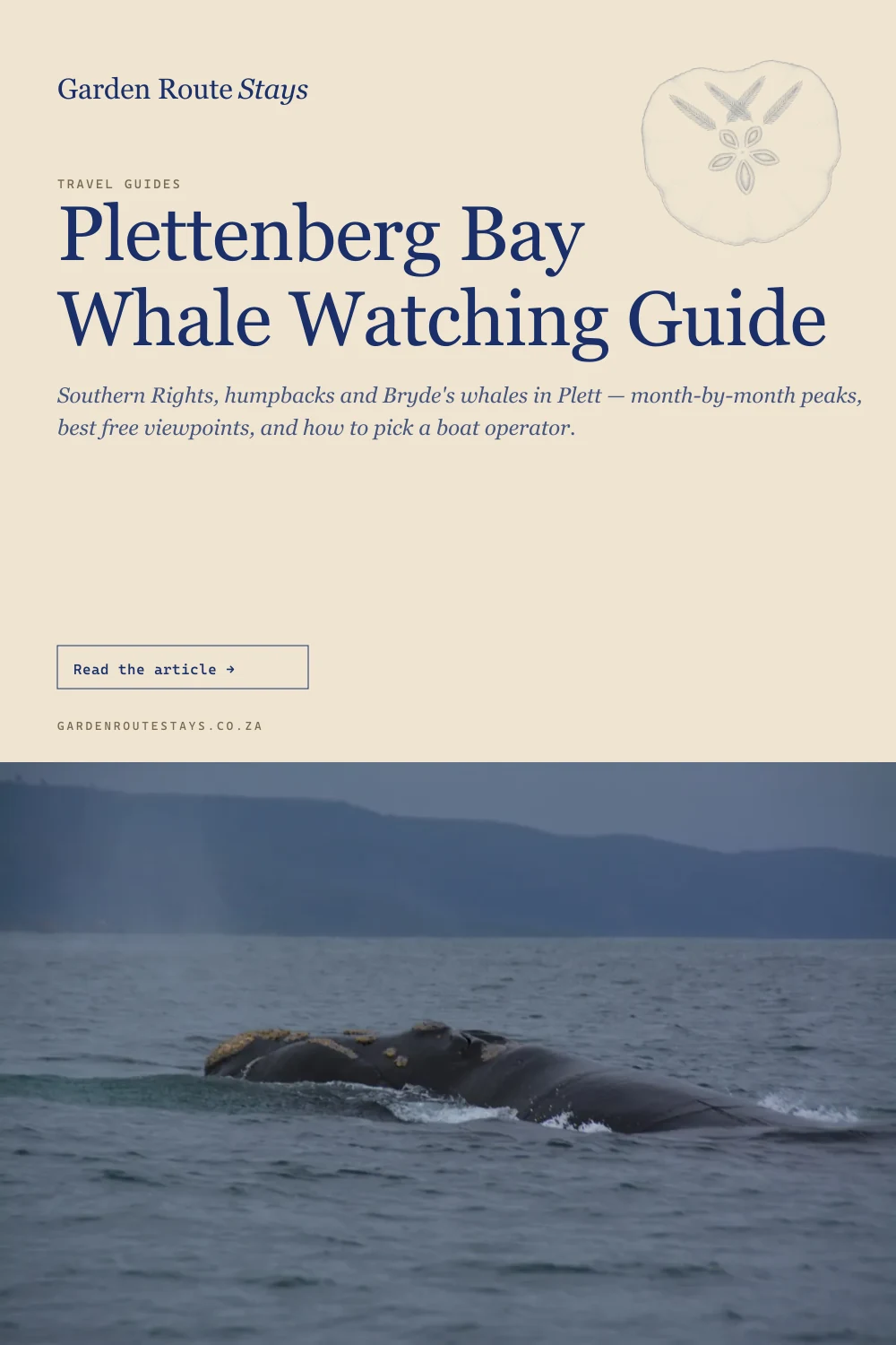 Pinterest pin: Plettenberg Bay Whale Watching Guide