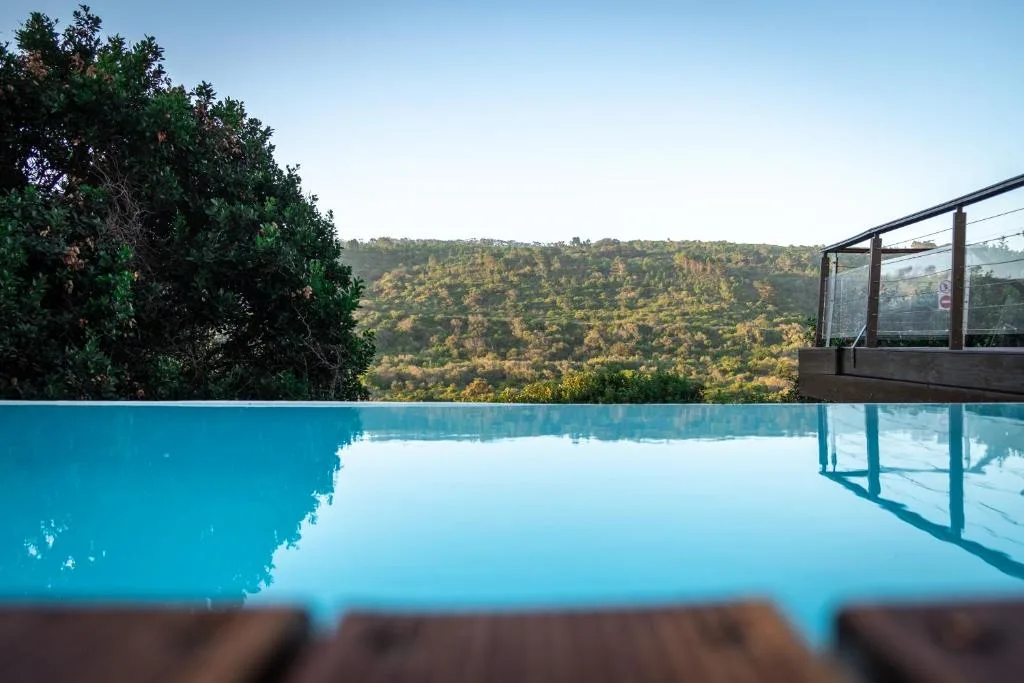 Infinity pool overlooking forested hillside with mountain views