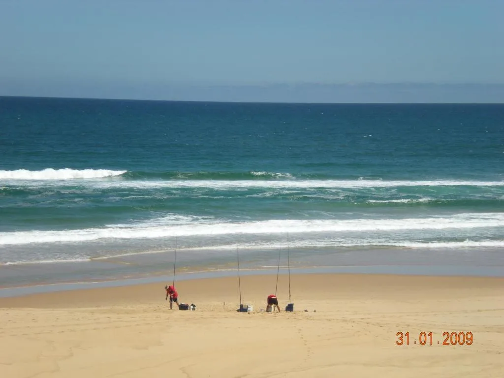 Scenic ocean beach view with turquoise waves and sandy shore