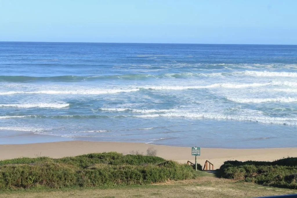 Ocean waves and sandy beach with coastal dunes and vegetation