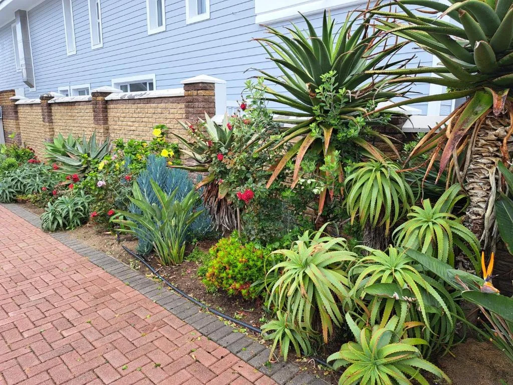 Brick patio with lush tropical garden and blue-walled cottage