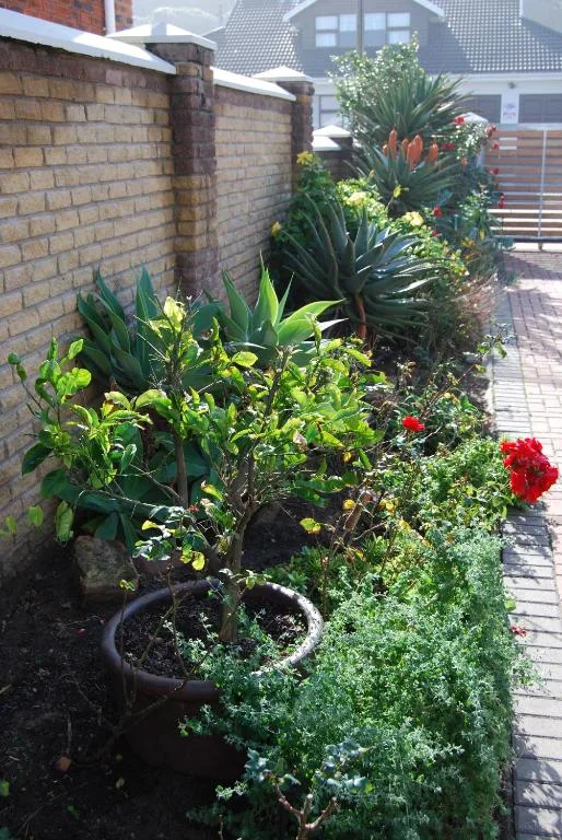 Garden beds with flowering plants and brick wall along property driveway
