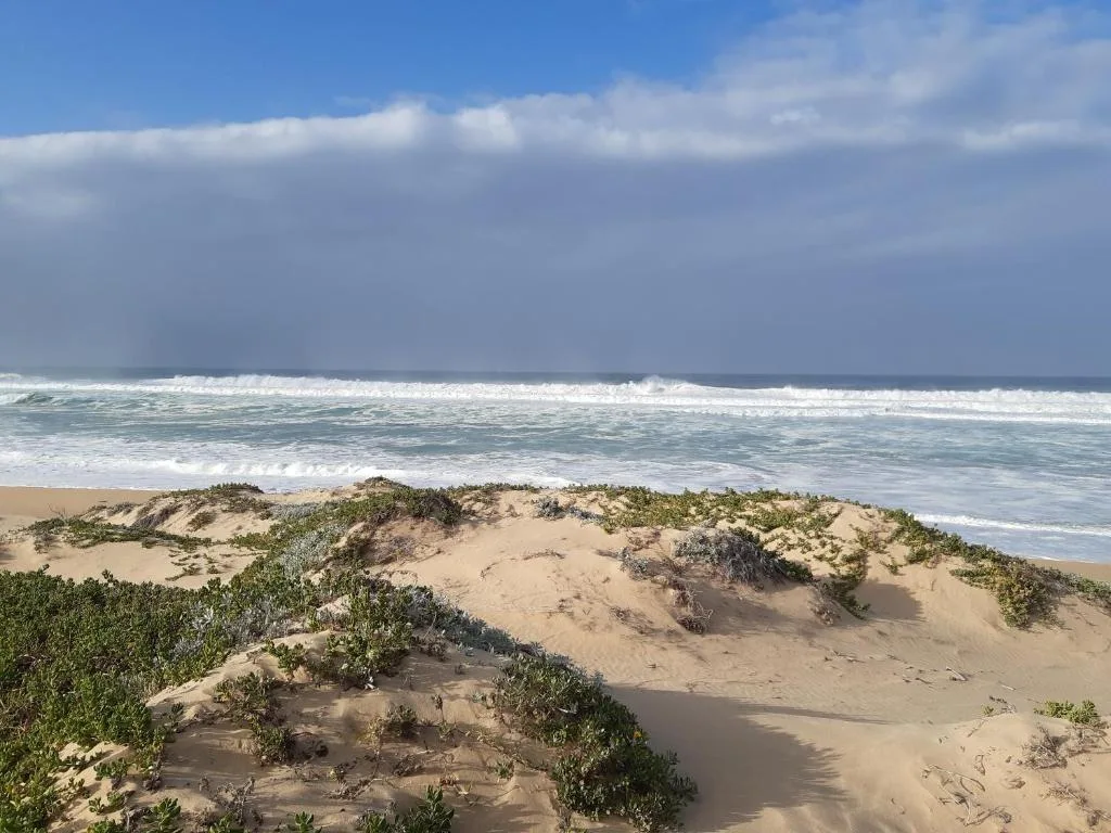 Scenic coastal view with sandy beach, dunes, and rolling ocean waves
