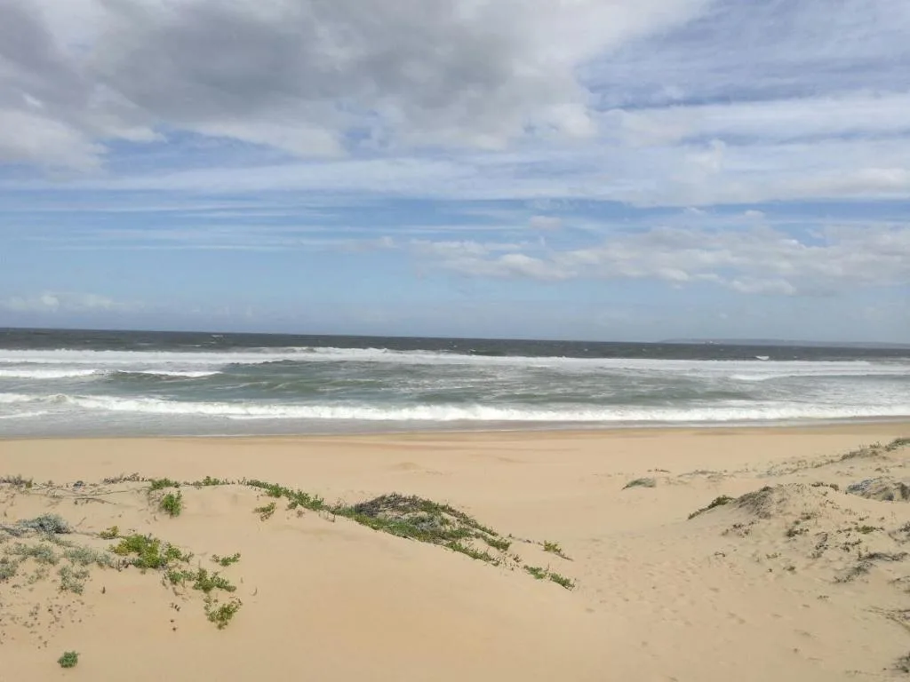 Scenic beach view with golden sand, dunes, and rolling ocean waves
