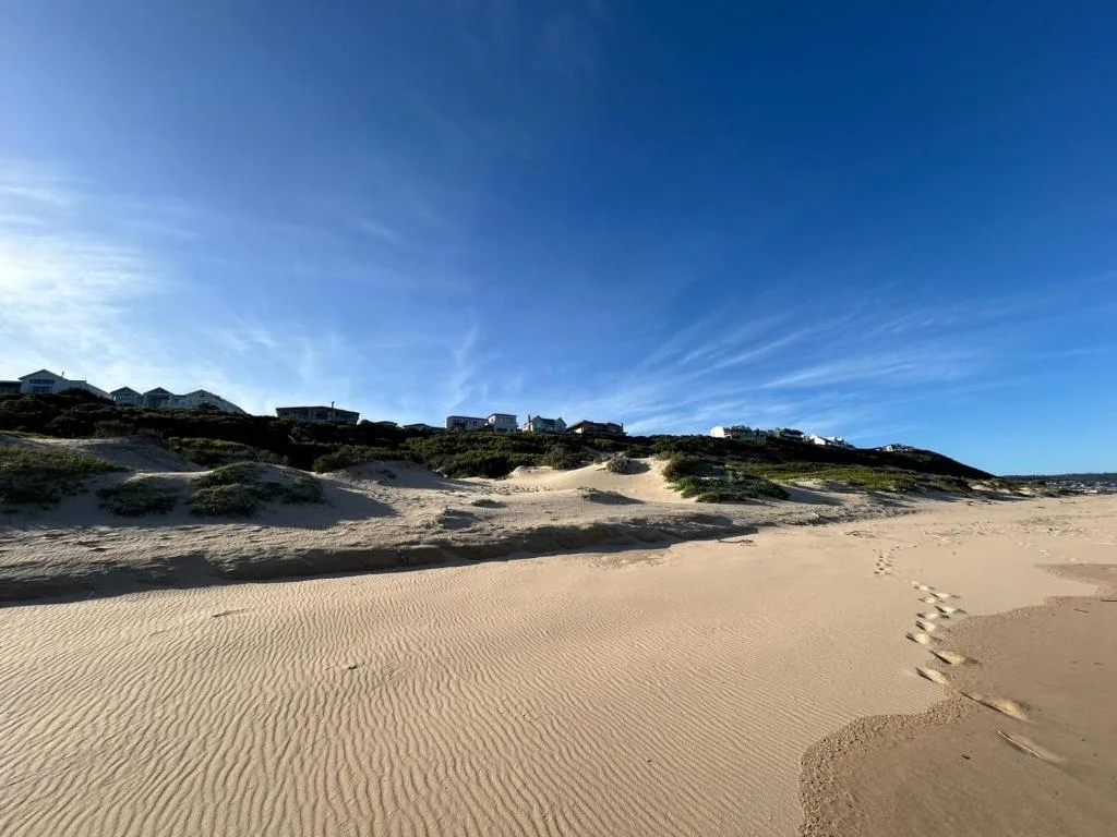 Pristine sandy beach with dunes and beachfront properties under clear sky