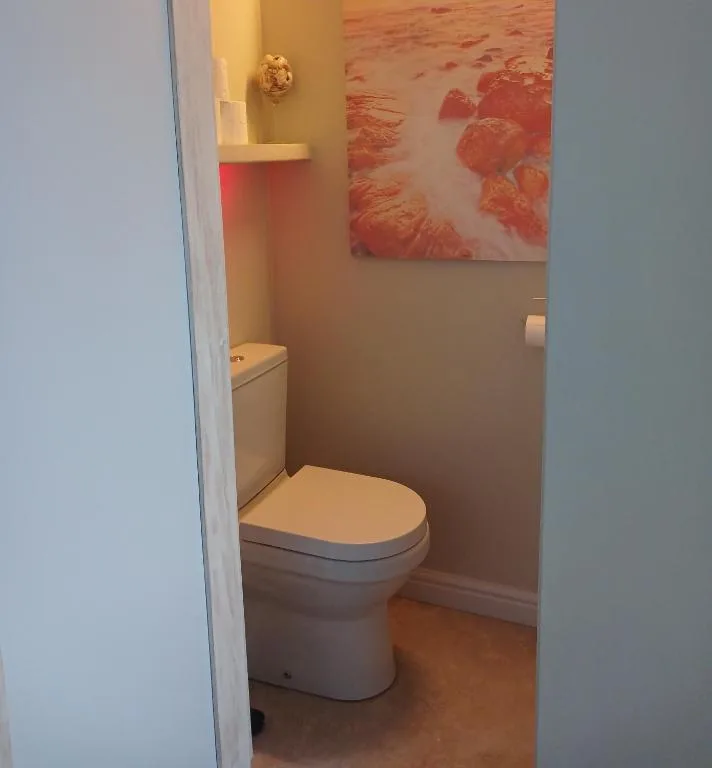 Compact bathroom with white toilet, wall-mounted shelf, and coral artwork