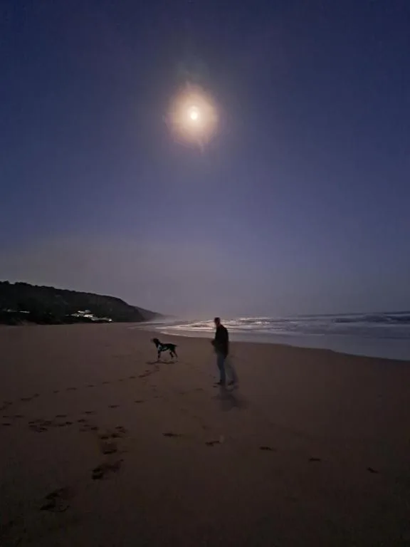 Moonlit beach scene with person and dog walking along shore