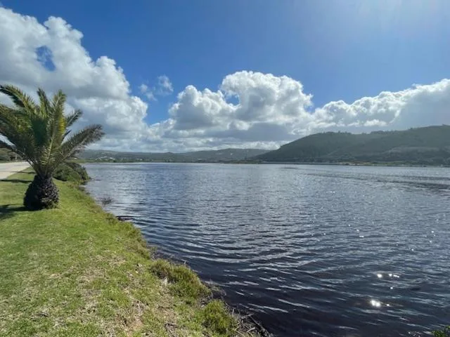 Serene lagoon view with palm tree and verdant lawn, mountains beyond