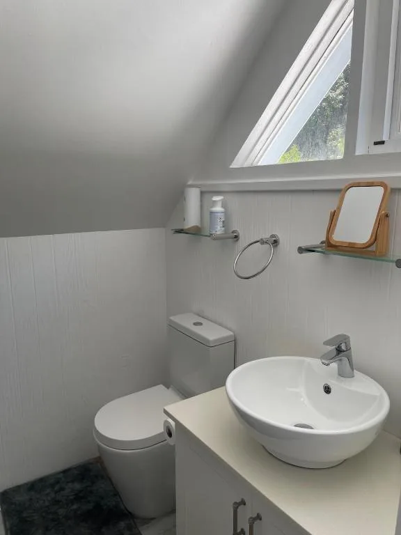 Bright bathroom with round sink, toilet, and skylight window