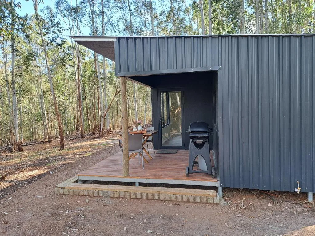 Modern dark corrugated metal cabin with wooden deck and braai area surrounded by tall trees