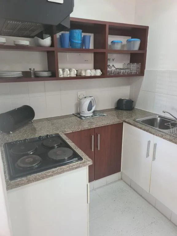 Compact kitchen with electric cooktop, sink, and wooden wall shelving