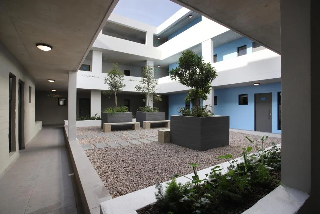 Modern courtyard with white walls, blue accents, planted containers, and natural light