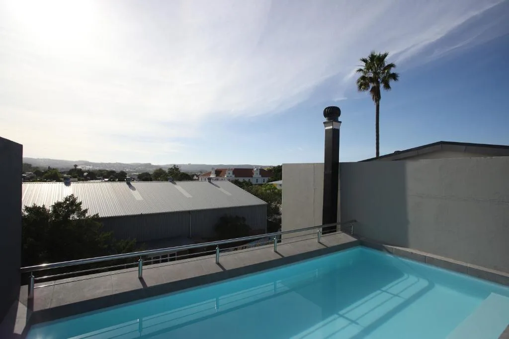 Rooftop swimming pool with mountain views and palm tree, Knysna