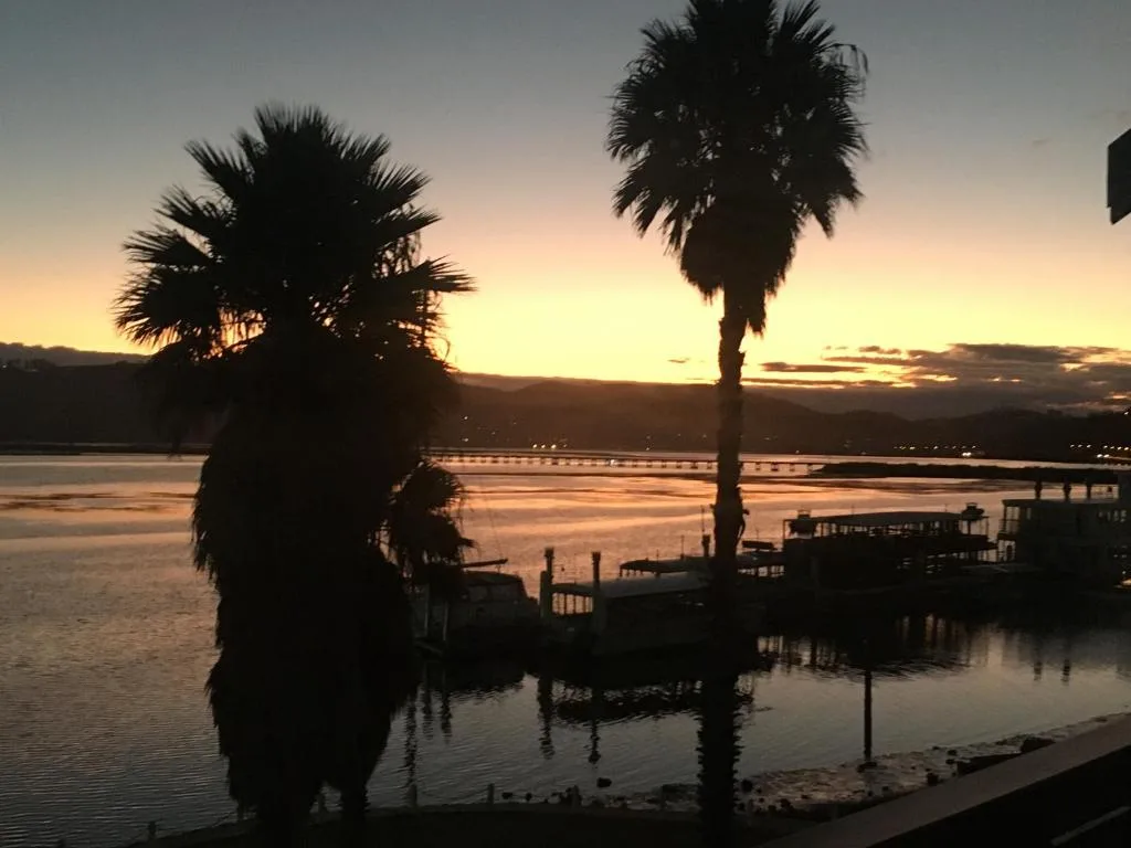 Sunset over Knysna Lagoon with palm trees and waterfront jetties