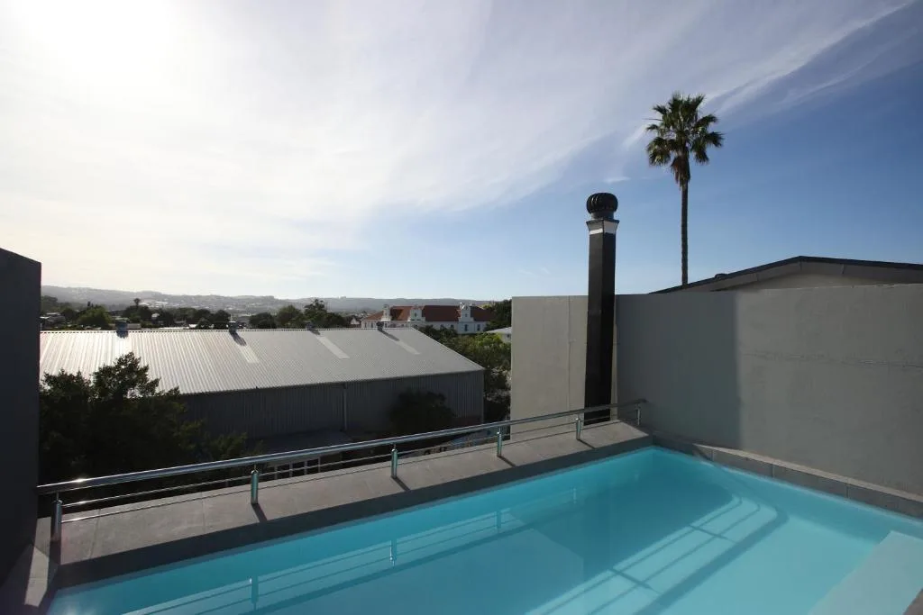 Rooftop swimming pool with mountain views and palm tree