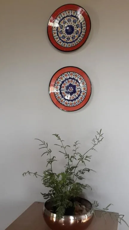 Decorative ceramic plates and potted plant adorning interior wall