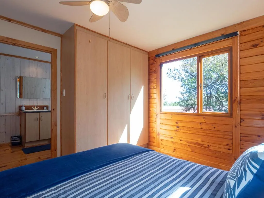 Bright wooden bedroom with blue striped bed and large windows overlooking trees