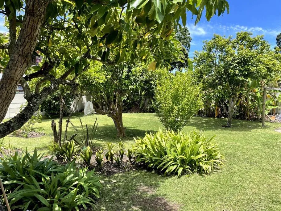 Lush garden with mature trees, manicured lawn, and tropical plants
