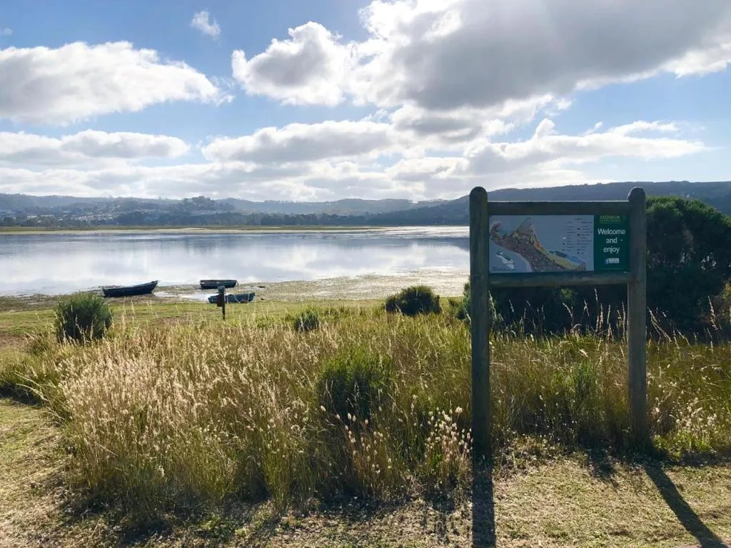Serene lagoon vista with mountains and grassy marshland under cloudy sky