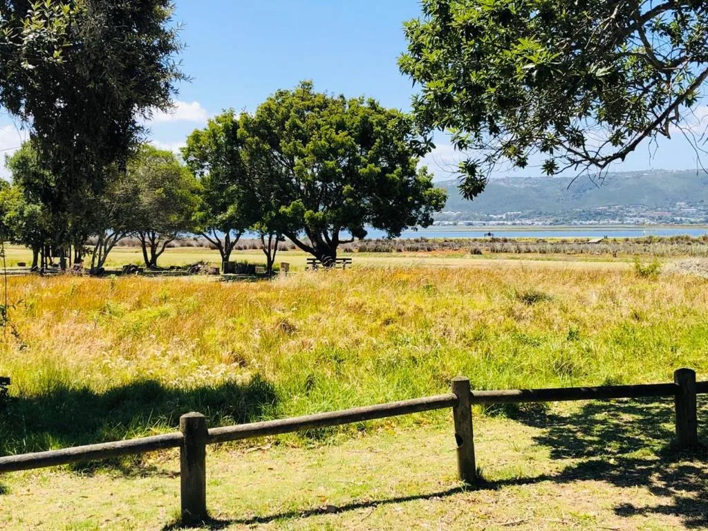 Scenic lagoon and mountain landscape visible across grassland with trees