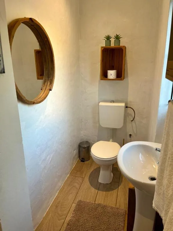Compact bathroom with toilet, sink, mirror, and wooden accents