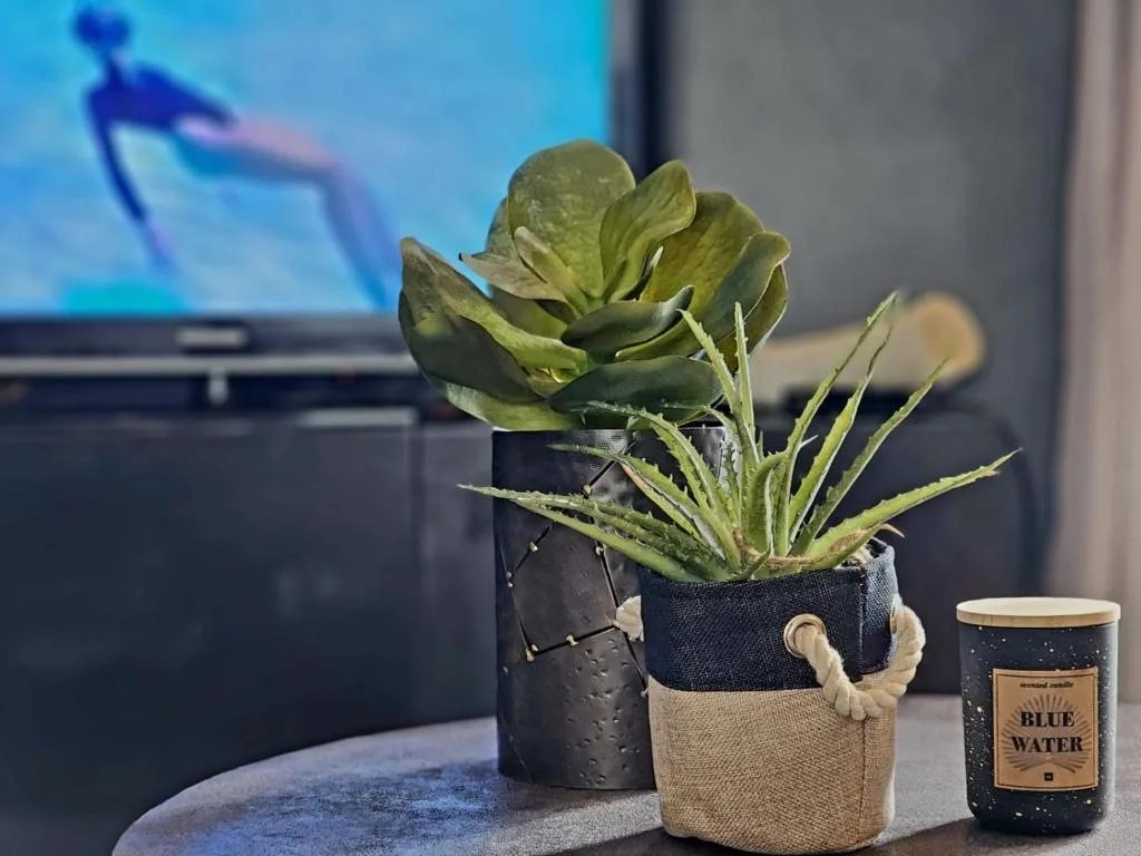 Potted succulent plant and scented candle on apartment table