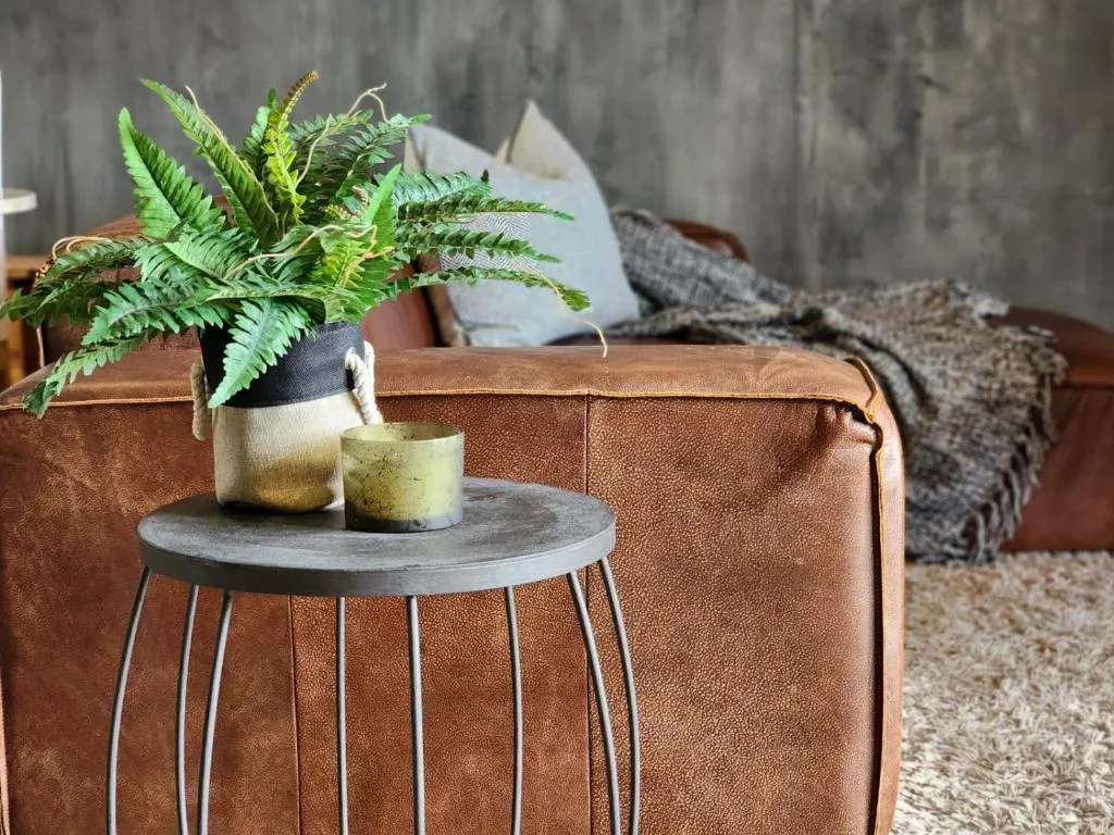 Modern lounge with brown leather sofa, fern plant, and concrete side table