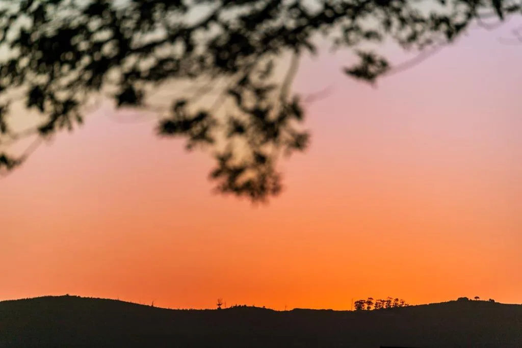 Sunset over rolling hills with tree branches framing golden sky