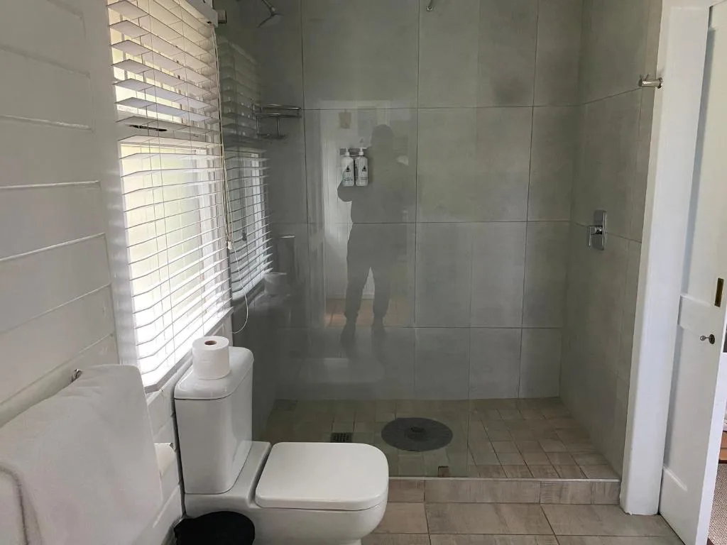 Modern bathroom with walk-in shower, toilet, and natural window light