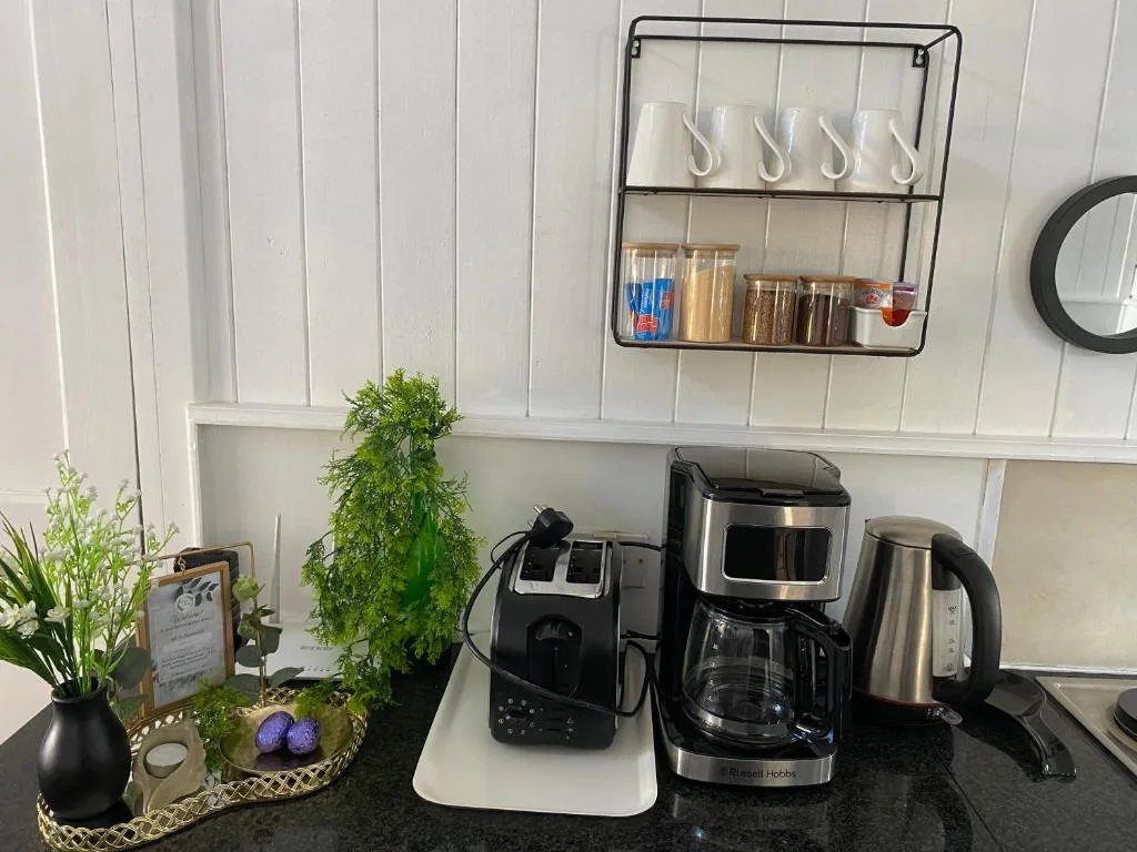 Modern kitchen counter with appliances, storage shelf, and decorative plants