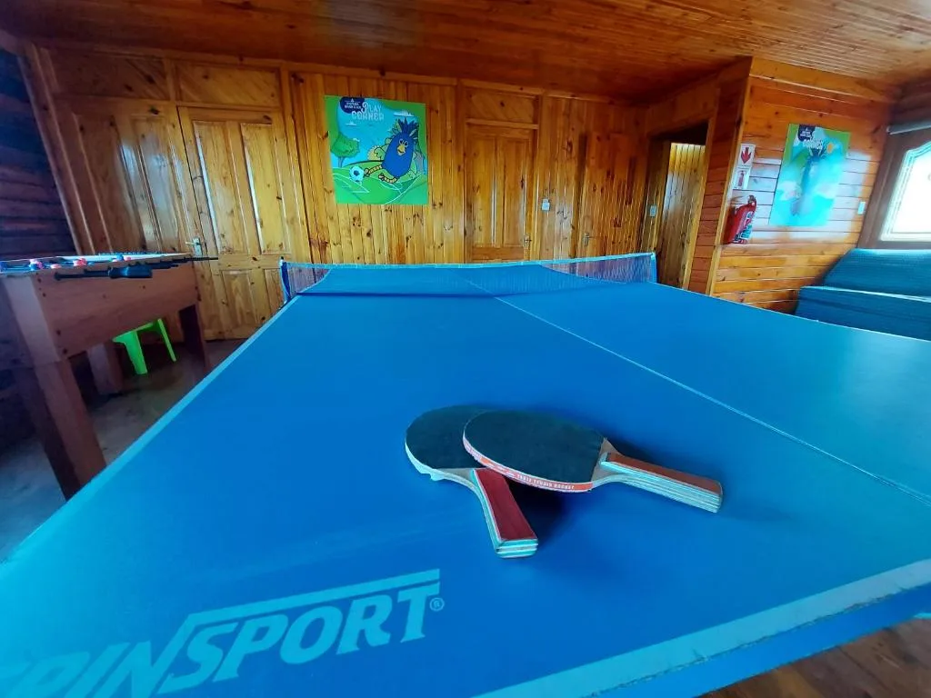 Table tennis paddles and ball on blue ping pong table with net
