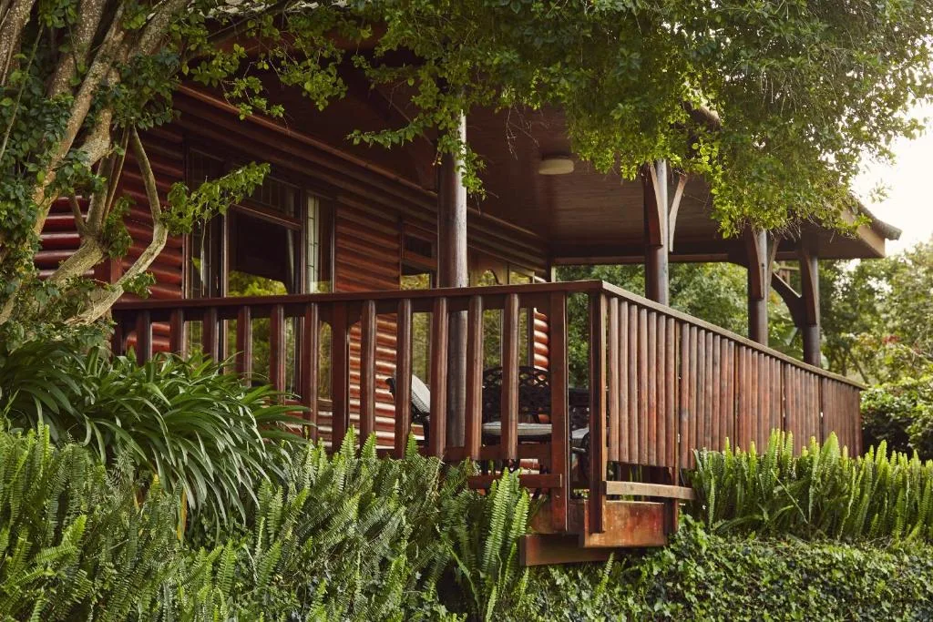 Modern wooden cabin with railing deck nestled among lush green trees and ferns