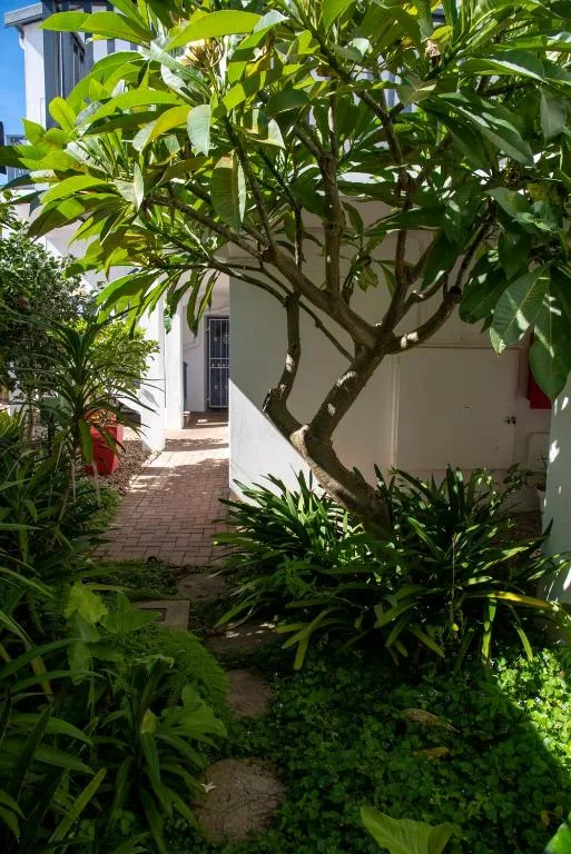 Lush garden pathway with mature tree leading to white cottage entrance