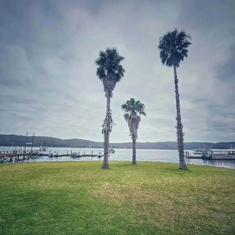 Lagoon view with palm trees, moored boats, and distant hills
