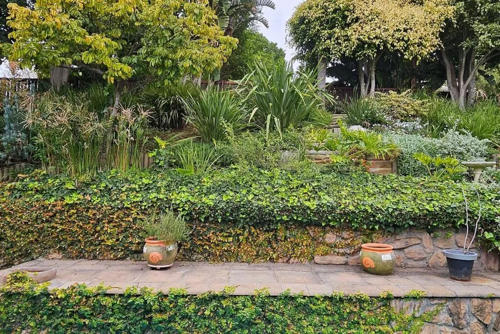 Lush garden with mature trees, hedges, and decorative pottery accents