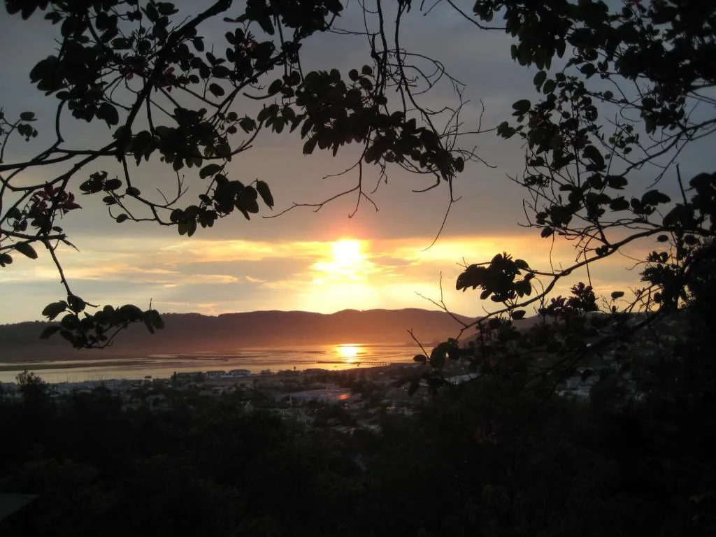 Golden sunset over Knysna lagoon framed by silhouetted tree branches