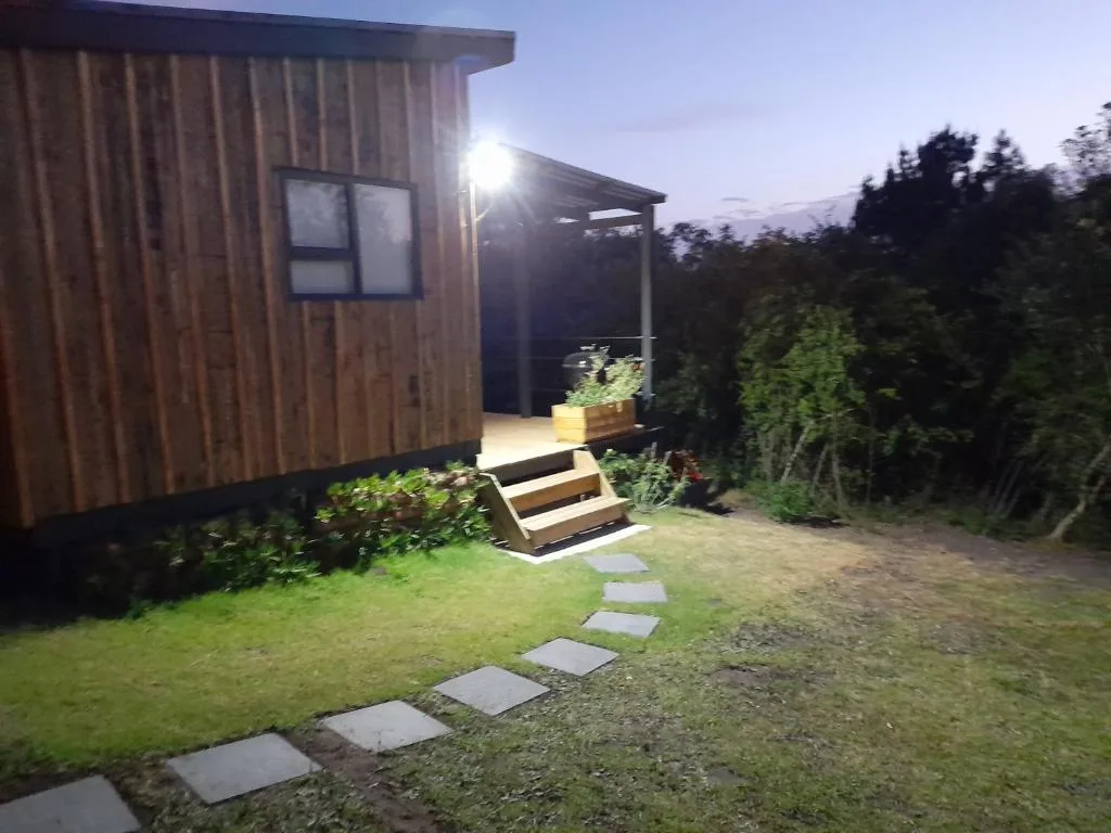Modern wooden cabin entrance at dusk with garden and stepping stone pathway