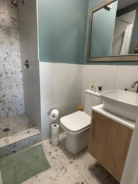 Modern bathroom with walk-in shower, toilet, and vessel sink vanity