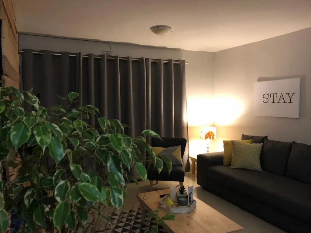 Modern lounge with black sofa, potted plant, and warm lighting