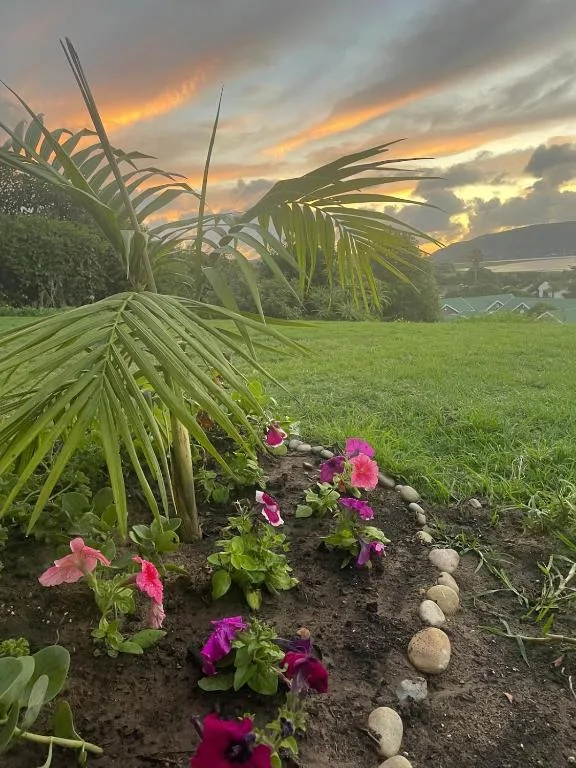 Scenic sunset over Knysna valley with manicured gardens and mountains