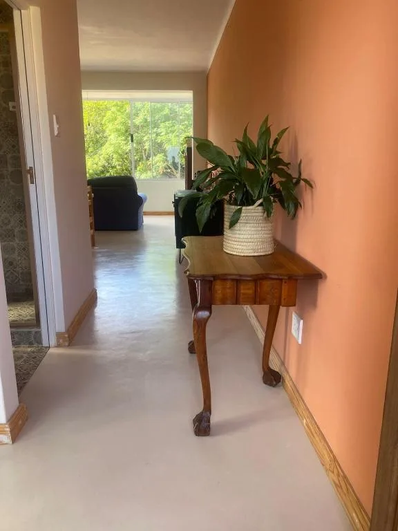 Hallway with wooden side table, potted plant, and garden views through window