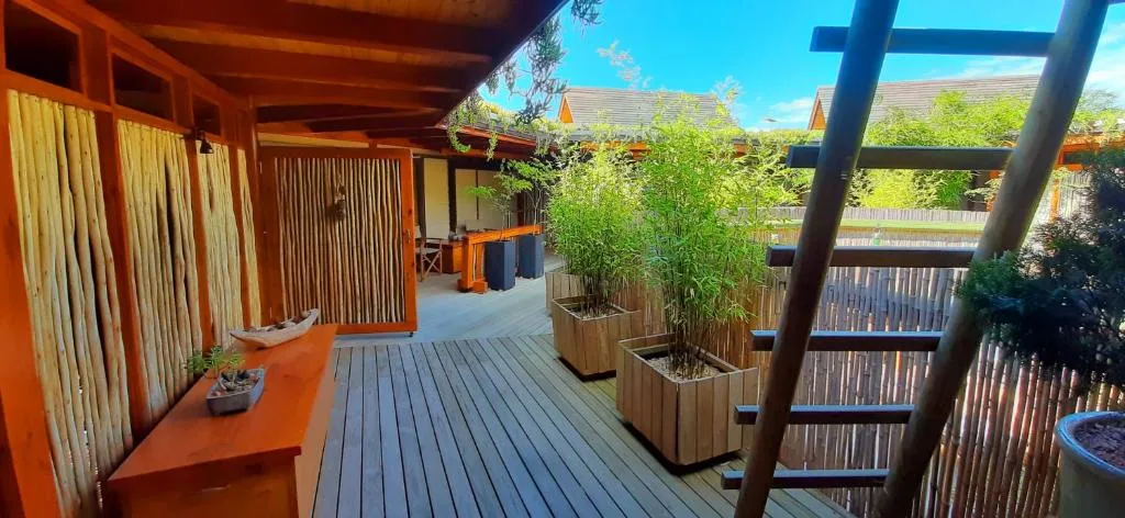 Spacious wooden deck with potted plants and pergola overhead