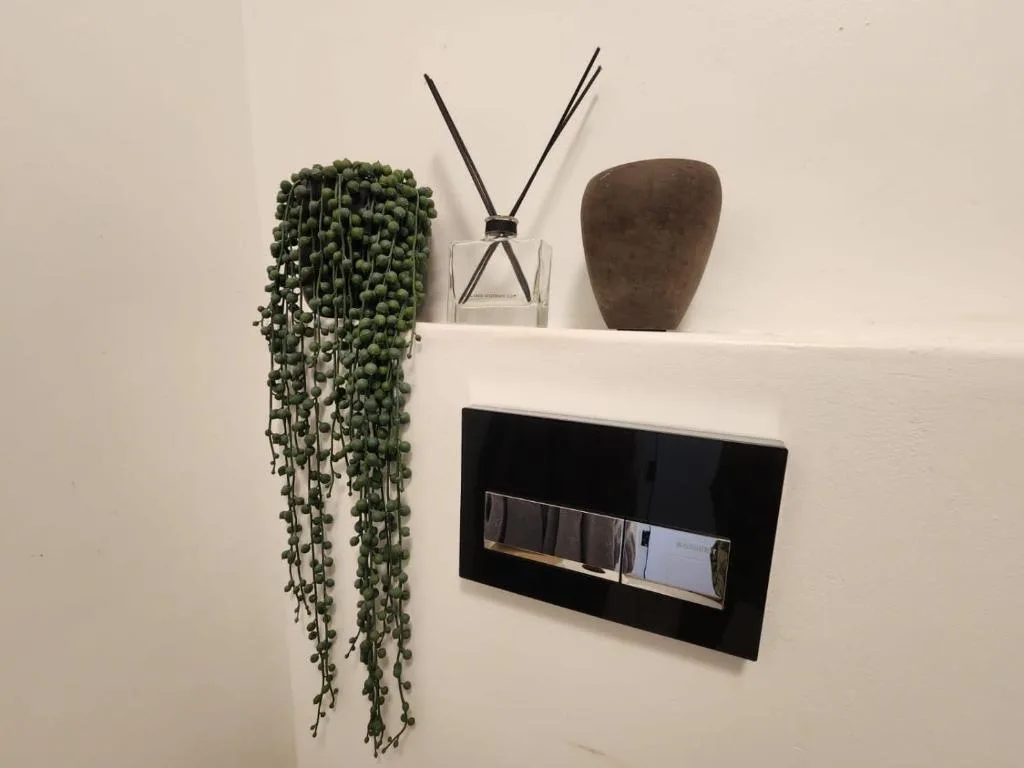 White shelf displaying succulent plant, reed diffuser, and decorative pottery