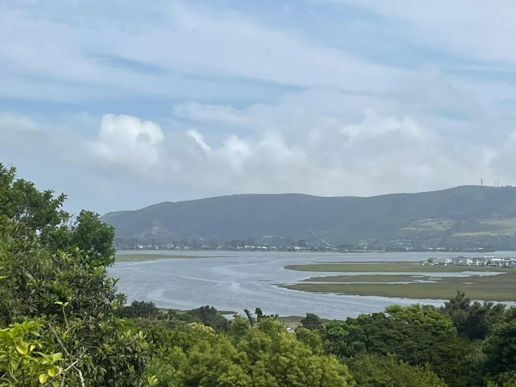Scenic lagoon vista with mountains and coastal settlement beyond lush vegetation