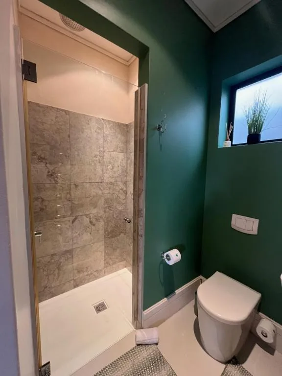 Modern bathroom with walk-in shower, toilet, and dark green accent wall